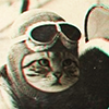 Benutzeravatar